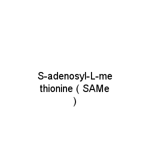 S-adenosyl-L-methionine ( SAMe )